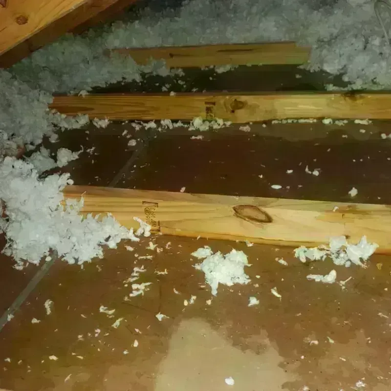 Attic Water Damage in Broadalbin, NY